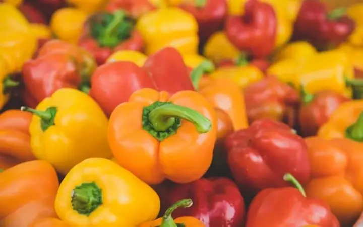 Chó Có Thể Ăn Ớt Chuông Không?