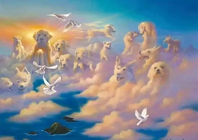 Chó Có Linh Hồn Không? Câu Trả Lời Từ Khoa Học Và Triết Học Chó Có Linh Hồn Không? Câu Trả Lời Từ Khoa Học Và Triết Học