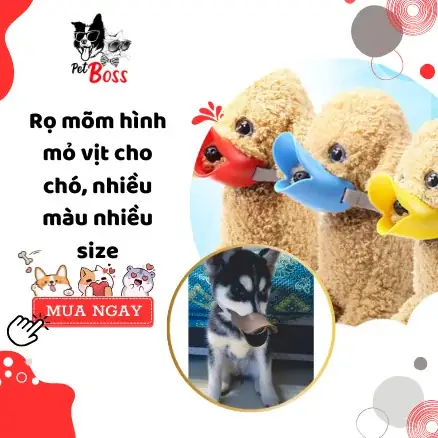 Bước 2: Kìm Giữ Chó Con An Toàn Và Trấn An Tâm Lý Hiệu Quả