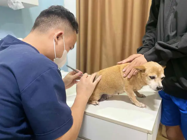 Nhiễm Trùng Đường Tiết Niệu (uti)