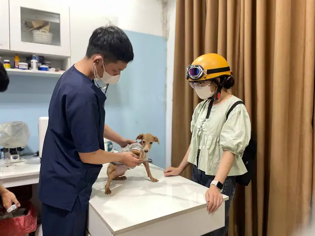 Các Yếu Tố Khác