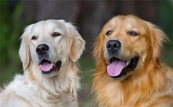 Sai Lầm Trong Quá Trình Giới Thiệu Ban Đầu Sai Lầm Trong Quá Trình Giới Thiệu Ban Đầu