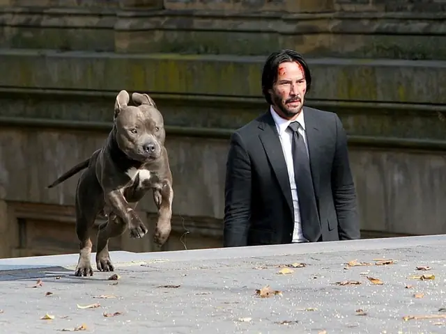 Trailer John Wick 3: Chó Của John Wick Lại Chết Một Lần Nữa?