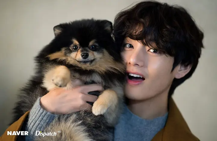 Chó Của V Bts Là Giống Gì