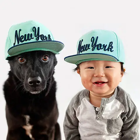 Chó Cưng Và Em Bé Với Biểu Cảm Hài Hước Chó Cưng Và Em Bé Với Biểu Cảm Hài Hước