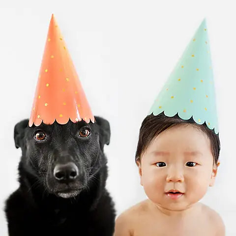 Tình Bạn Đặc Biệt Giữa Chó Cưng Và Em Bé Tình Bạn Đặc Biệt Giữa Chó Cưng Và Em Bé