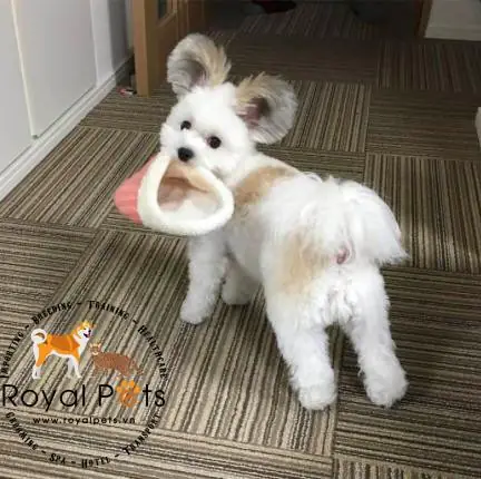 Tập Thể Dục Và Vui Chơi Đầy Đủ Tập Thể Dục Và Vui Chơi Đầy Đủ