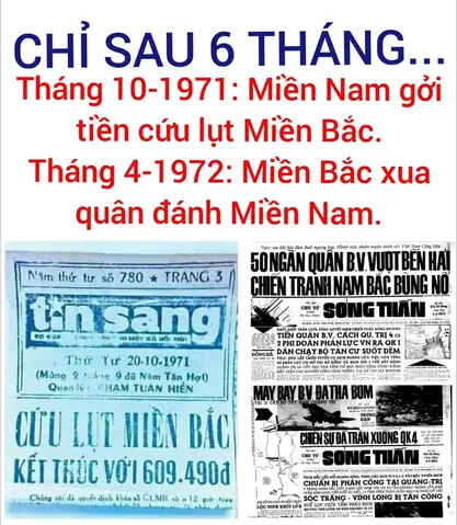 Chó Đẻ Ngày Mùng 1: Giải Mã Tín Ngưỡng & Hướng Dẫn Chăm Sóc Khoa Học