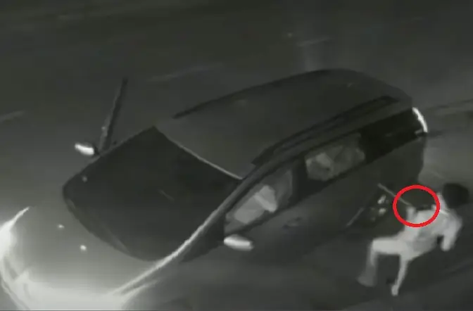 Đảm Bảo An Toàn Cho Chó Cưng Khi Tiếp Xúc Với Ô Tô