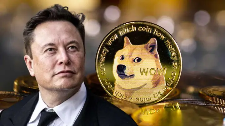 Chó Doge Bao Nhiêu Tiền Chó Doge Bao Nhiêu Tiền