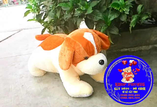 Chó Ngốc Việt Nam - Gấu Bông Cần Thơ Giá Rẻ Chó Ngốc Việt Nam - Gấu Bông Cần Thơ Giá Rẻ