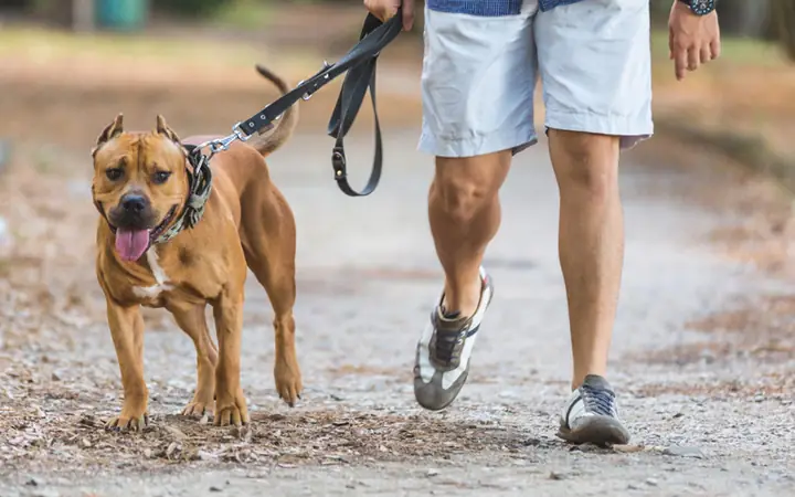 2phương Pháp Giảm Cân Hữu Hiệu
