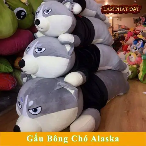 Tuổi Thọ Và Các Vấn Đề Sức Khỏe Thường Gặp Tuổi Thọ Và Các Vấn Đề Sức Khỏe Thường Gặp