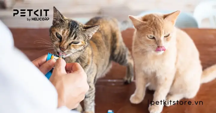 Sử Dụng Loại Thức Ăn Quen Thuộc