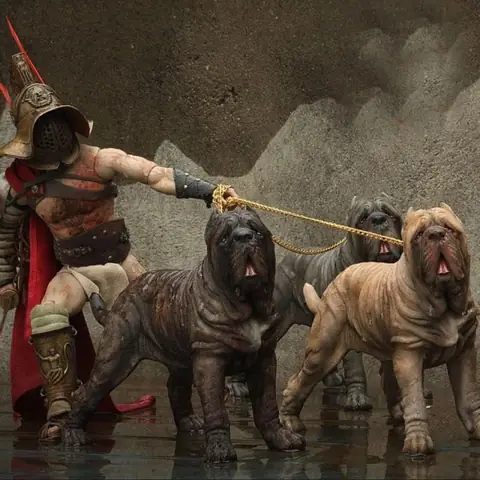 Huấn Luyện Vệ Sinh