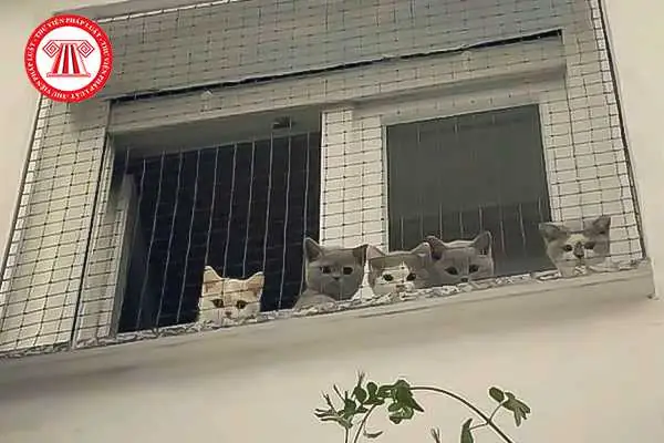 Nuôi Chó Mèo Trong Chung Cư Được Không?