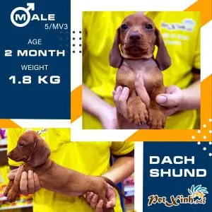 Lời Khuyên Chung Khi Chọn Kênh Mua