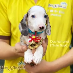 Lời Khuyên Chung Khi Chọn Kênh Mua