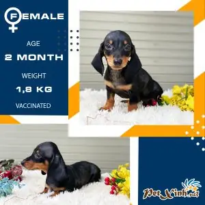 Lời Khuyên Chung Khi Chọn Kênh Mua