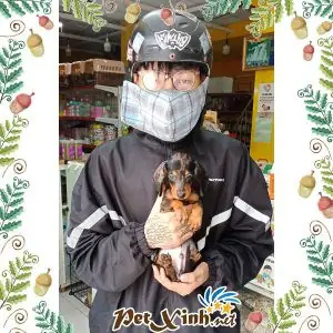 Tham Khảo Ý Kiến Từ Cộng Đồng Yêu Chó Lạp Xưởng