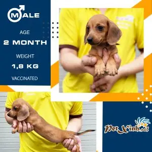 Cách Nhận Biết Và Phòng Tránh Những Rủi Ro Này