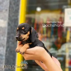 Các Yếu Tố Khác Ảnh Hưởng Đến Giá Thêm