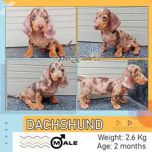 Lời Khuyên Chung Khi Chọn Kênh Mua