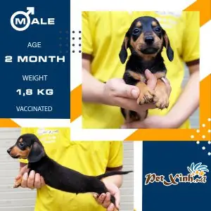 Lời Khuyên Chung Khi Chọn Kênh Mua