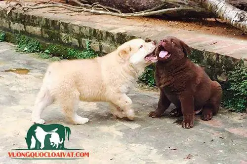 Cảnh Giác Với Rủi Ro Online