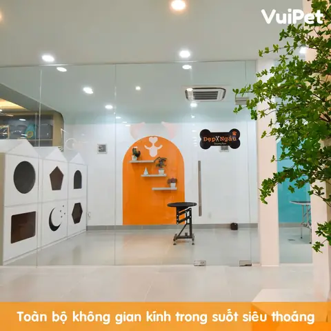 Chó Lông Xù Trắng Nhỏ