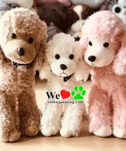 Chó Mặt Xệ Giá Rẻ Tphcm