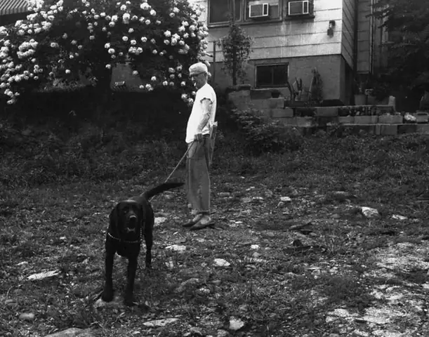 Chó Màu Trắng Gọi Là Gì? Khám Phá Thế Giới Các Giống Chó Lông Trắng