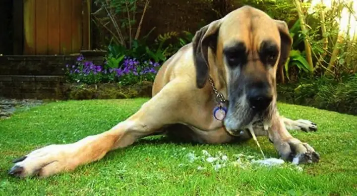 Trong Quá Trình Sơ Cứu: