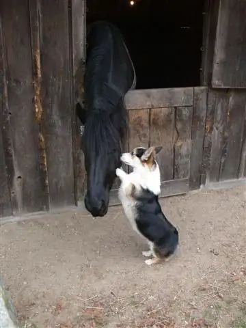 940af1fe40715fbe190795f10acc3ea8 940af1fe40715fbe190795f10acc3ea8