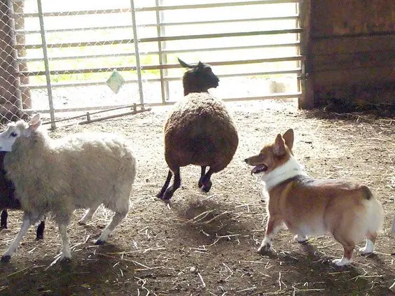 F4804b73b033f06d2758143bff8cacc0 F4804b73b033f06d2758143bff8cacc0