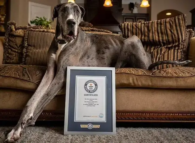 Nguy Cơ Từ Lai Tạo Vì Lợi Nhuận Nguy Cơ Từ Lai Tạo Vì Lợi Nhuận