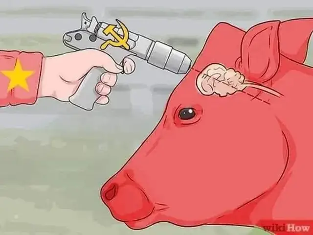 Khám Phá Chó Ngao Tây Tạng: Đặc Điểm, Lịch Sử Và Cách Chăm Sóc