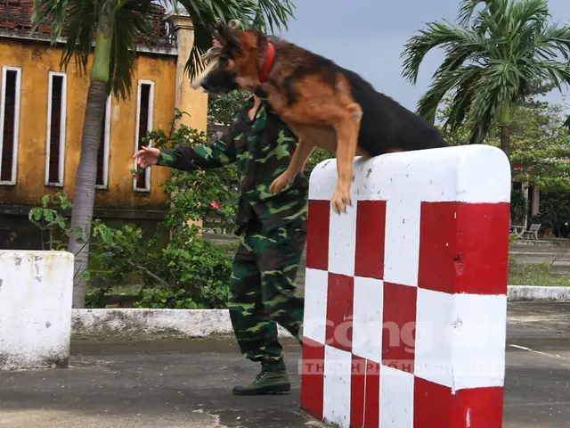 Biệt Đội Chó Nghiệp Vụ Của Bộ Đội Biên Phòng Biệt Đội Chó Nghiệp Vụ Của Bộ Đội Biên Phòng