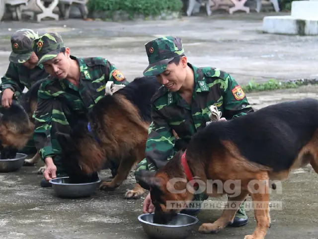 Biệt Đội Chó Nghiệp Vụ Của Bộ Đội Biên Phòng Biệt Đội Chó Nghiệp Vụ Của Bộ Đội Biên Phòng
