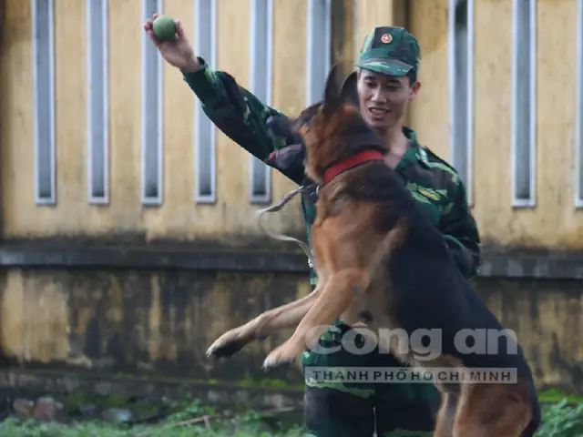 Biệt Đội Chó Nghiệp Vụ Của Bộ Đội Biên Phòng Biệt Đội Chó Nghiệp Vụ Của Bộ Đội Biên Phòng