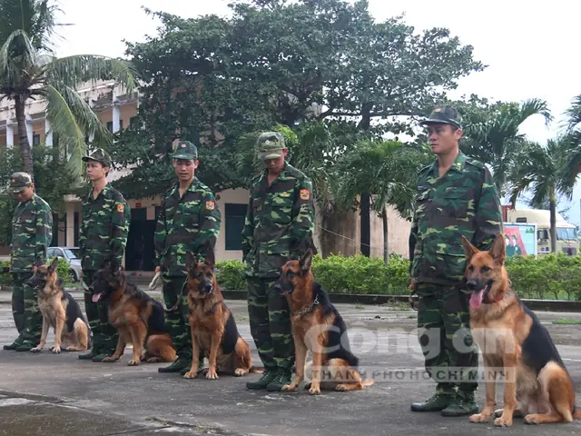 Biệt Đội Chó Nghiệp Vụ Của Bộ Đội Biên Phòng Biệt Đội Chó Nghiệp Vụ Của Bộ Đội Biên Phòng