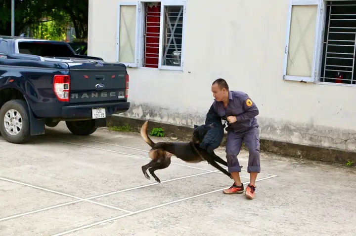 Chó Nghiệp Vụ Công An