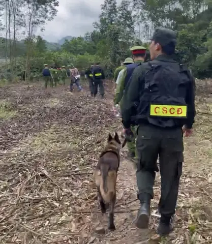 Chó Nghiệp Vụ Công An