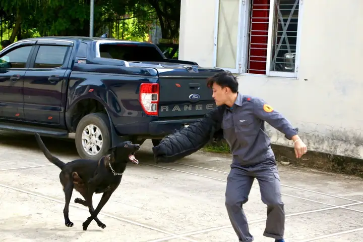 Chó Nghiệp Vụ Công An