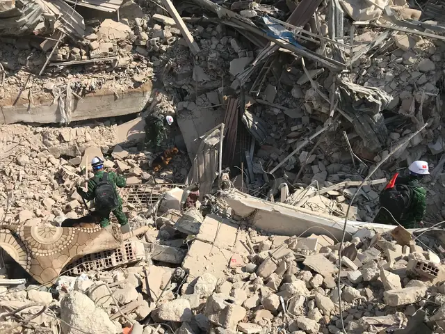 Chó Nghiệp Vụ Làm Nhiệm Vụ Tìm Kiếm Các Nạn Nhân Của Trận Động Đất Tại Hatay (thổ Nhĩ Kỳ). Chó Nghiệp Vụ Làm Nhiệm Vụ Tìm Kiếm Các Nạn Nhân Của Trận Động Đất Tại Hatay (thổ Nhĩ Kỳ).