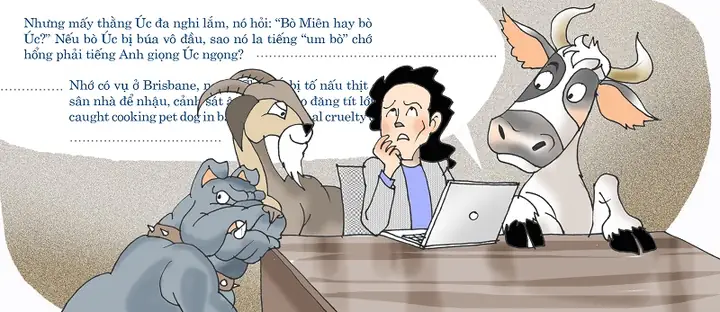 Chó Nghiệp Vụ Tiếng Anh Là Gì? Tổng Quan Về Các Thuật Ngữ & Vai Trò