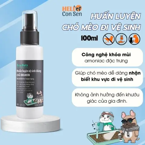 Tìm Chỗ Nhận Nuôi Chó Mèo Uy Tín Ở Đâu?