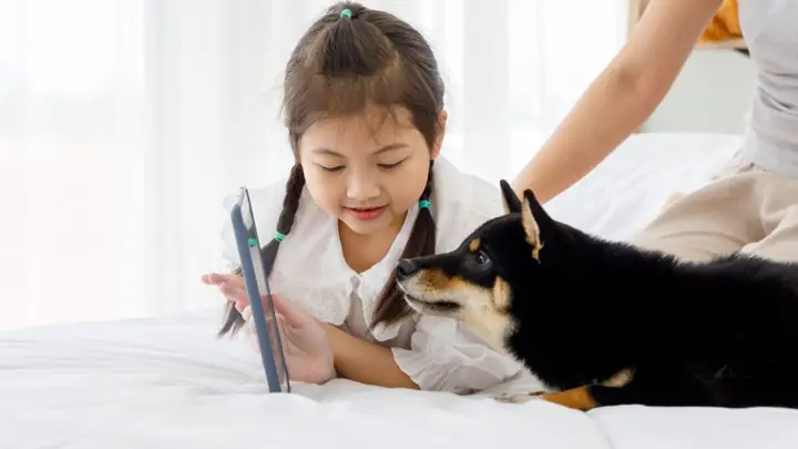 Tính Cách Của Shiba Inu