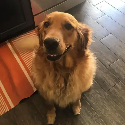 Câu Chuyện Thành Công: Max Và Hành Trình Vượt Qua Nỗi Sợ Hãi