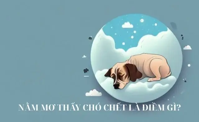 Chó Nhiều Ve Phải Làm Sao: Hướng Dẫn Xử Lý Ve Rận Ở Chó Hiệu Quả Và An Toàn